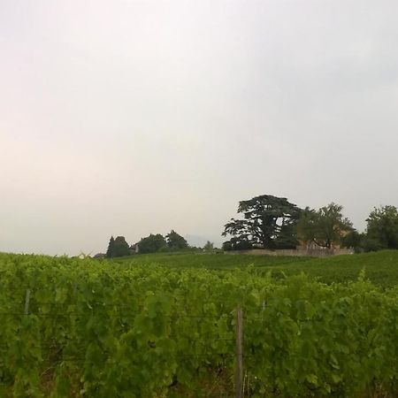 Chateau La Violette Les Marches Exterior foto