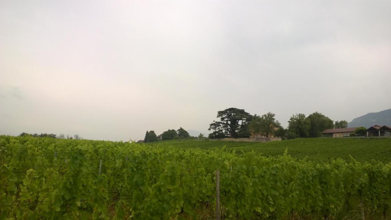 Chateau La Violette Les Marches Exterior foto